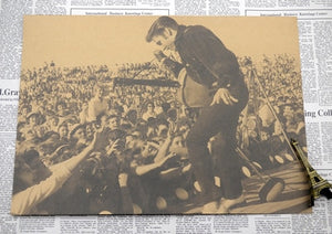 Rock and Roll Music Posters elvis presley